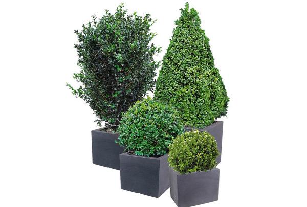 Pflanzkübel Kubus Kunststoff anthrazit rechteckig